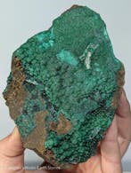 782 g - Malachite botryoïdale exceptionnelle de Likasi,, Collections, Minéraux & Fossiles