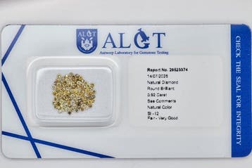 Zonder minimumprijs - 103 pcs Diamant (Natuurlijk gekleurd), Nieuw