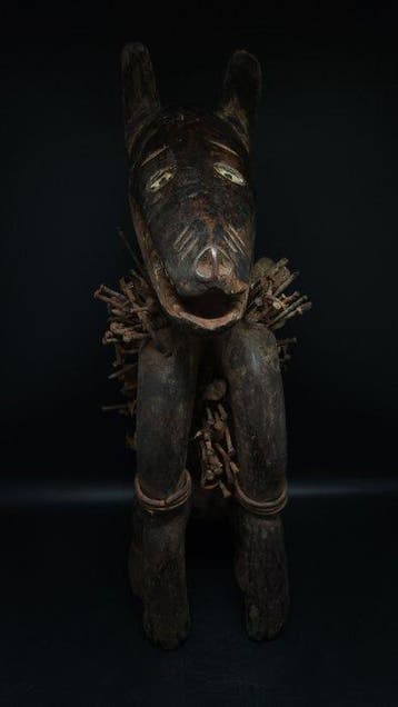 Prachtige Kongo-hond. - Bakongo - Congo RDC (Zonder