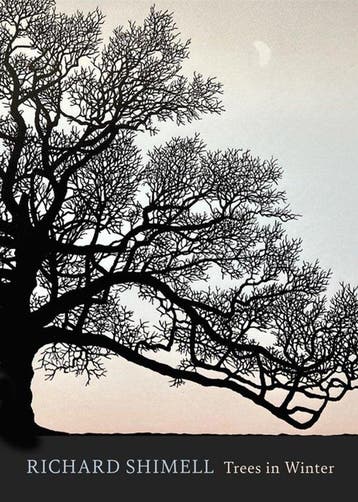 Trees in Winter 9781408732403 Richard Shimell, Verzenden, Richard Shimell