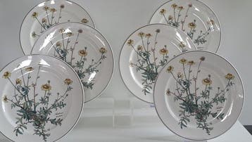 Villeroy & Boch - Assiette à dîner (6) - Botanica -
