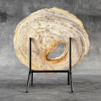 Magnifique tranche de bois pétrifié sur un socle