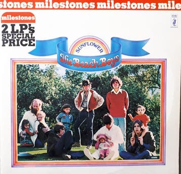 The Beach Boys - Sunflower / Surfs Up (LP), Verzenden, Gebruikt