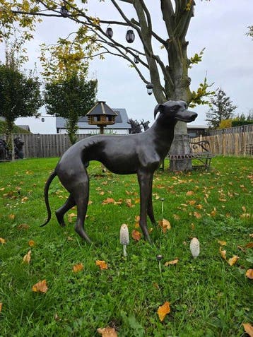Statue, Bronze: XL Greyhound Dog - 77 cm - Bronze - 2026, Antiquités & Art