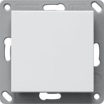 Gira System 55 Système de bus émetteur main/mur - 242103, Verzenden