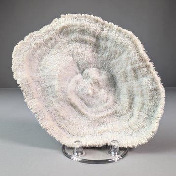 Splendid Bowl Coral (UNIQUEMENT POUR LES SOUMISSIONNAIRES DE