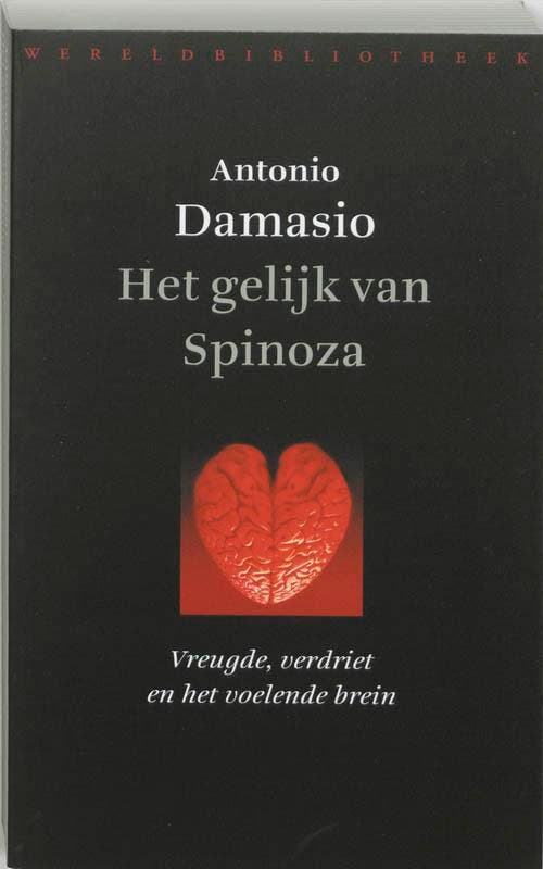 Het gelijk van Spinoza / Wetenschap 9789028420021, Boeken, Filosofie, Zo goed als nieuw, Verzenden