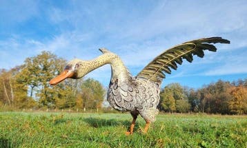 Figuur - Figuur - Levensechte gans - IJzer, Metaal - IJzer,
