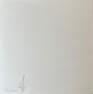 Caio Reiszwitz - Sans titre