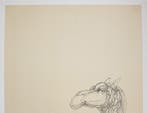 Fabrizio Clerici (1913-1993) - Cammelli