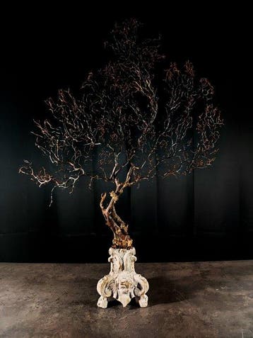 Zwarte gorgonia op sokkel, fijn 800 Taxidermie volledige, Nieuw