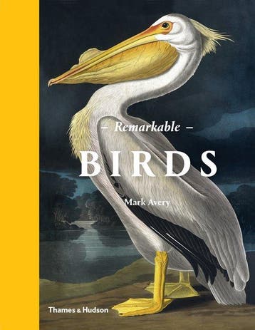 Remarkable birds 9780500518533 Mark Avery, Boeken, Verzenden, Zo goed als nieuw, Mark Avery