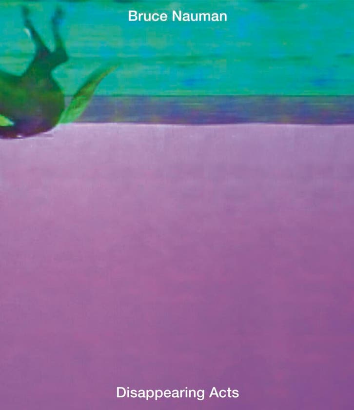 Bruce Nauman 9783906315102, Boeken, Taal | Engels, Zo goed als nieuw, Verzenden