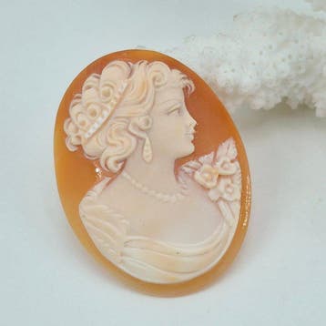 Zonder reservering - Cameo - CASSIS RUFA