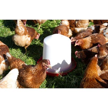 Abreuvoir syphoïde polypro 10l - kerbl, Neuf