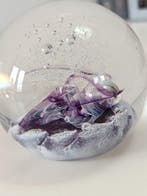 Selkirk glass Scotland - Presse-papier - Cadenza - Glas, Antiek en Kunst