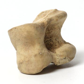 Oud-Romeins Been Astragalus (Knucklebone) voor gaming