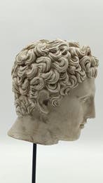 sculptuur, Testa di Eros - 33 cm - marmerstof