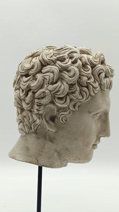sculptuur, Testa di Eros - 33 cm - marmerstof, Antiek en Kunst, Curiosa en Brocante