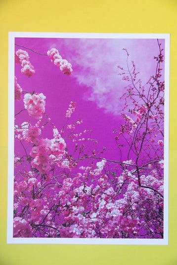 Viet Ha Tran - The Colors of Spring