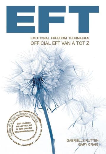 Official EFT van A tot Z 9789493230613 Gary Craig, Boeken, Verzenden, Gelezen, Gary Craig