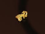 Glinsterend sieraadje om direct te kopen - Gouden nugget -