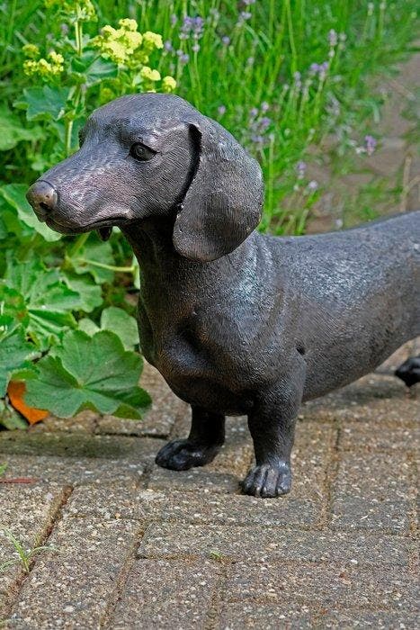 sculptuur, Lifesize Dachshund - 70 cm in length - 33 cm -, Antiek en Kunst, Curiosa en Brocante