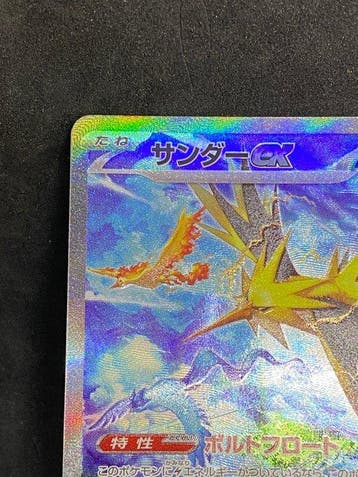 Pokémon - 1 Card - Zapdos #204/165 SAR Foil, Illustration