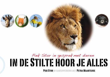 In de stilte hoor je alles 9789081648103 Piek Stor, Verzenden, Piek Stor