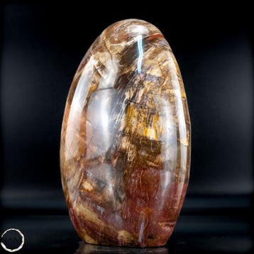 Vrije vorm van versteend hout handgepolijst- 1505.16 g
