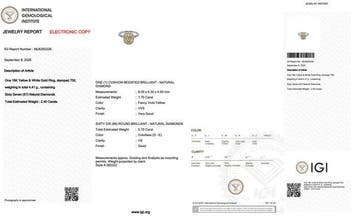 Ring - 18 karaat Geel goud, Witgoud - 2.40ct. tw. Geel, Nieuw