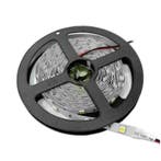LED Strip 5M 5050/30 7,2W IP20 12V Standaard editie Daglicht, Verzenden, Nieuw
