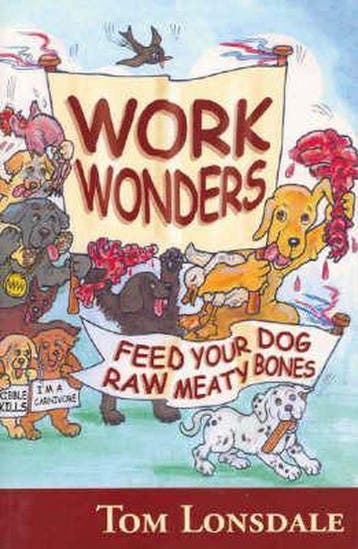Work Wonders 9780975717400 Tom Lonsdale, Verzenden, Tom Lonsdale