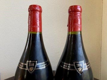 2018 Charmes-Chambertin Grand Cru - Domaine Camus -