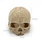 Kunstschedel OS-216 - aquarium decoratie, Ophalen of Verzenden, Nieuw