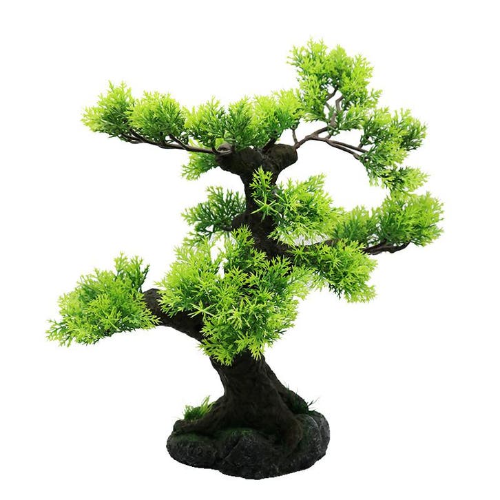 Bonsaiboom 28cm / Aquariumdecoratie As-200 (Hardscaping), Dieren en Toebehoren, Vissen | Aquaria en Toebehoren, Gevuld zeewateraquarium