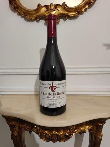 2016 Domaine des Monts Luisants - Clos de la Roche Grand Cru