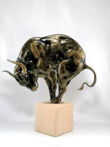 Vanessa Bonino - Bull Strength