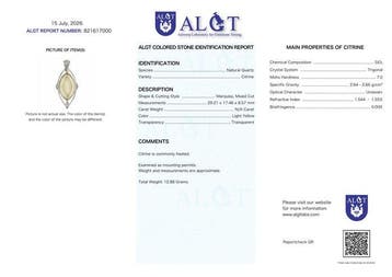 Geen veilingreserve - ALGT-gecertificeerd - Grote en Zeer