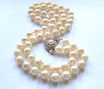 Zonder minimumprijs - Halsketting Akoya parels tot 8 mm - 8, Handtassen en Accessoires, Kettingen, Nieuw