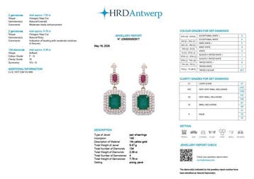 Oorbellen - 14 karaat Geel goud - 10.18ct. tw. Smaragd -