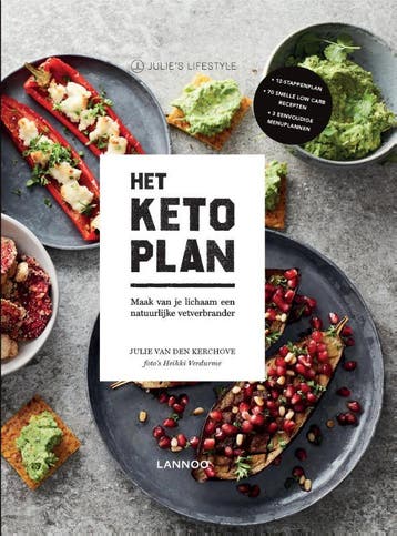 Het Keto-plan 9789401453356 Julie van den Kerchove, Verzenden, Gelezen, Julie van den Kerchove
