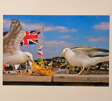 Martin Parr - West Bay, Dorset, England, 1996, Antiek en Kunst