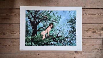 Servais - Mémoire des arbres - 1 Offset Print - Equinoxe -