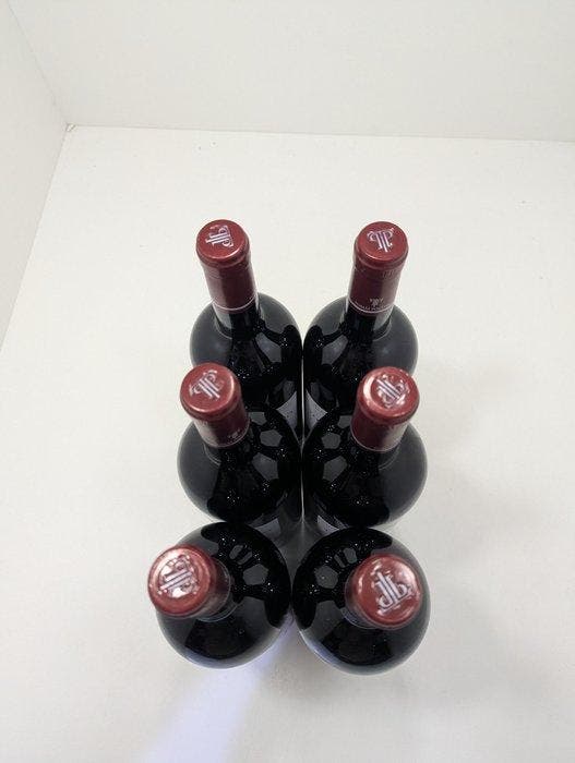 2023 Tomás Postigo 3º Año Tinto - Ribera del Duero - 6, Collections, Vins