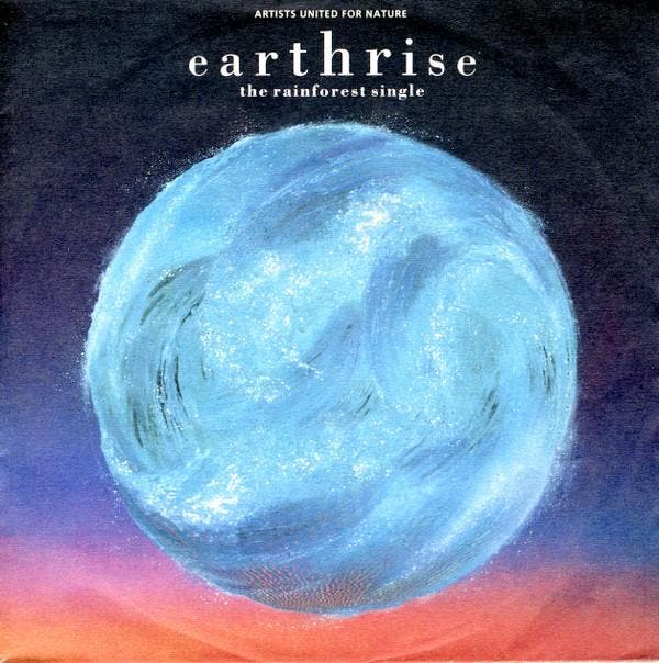 Artists United For Nature - Earthrise - The Rainforest Singl, Cd's en Dvd's, Vinyl | Pop, Gebruikt, Verzenden