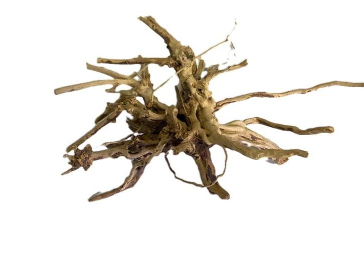 Driftwood Selected  DW46 - 45x28x15cm (Small drift wood), Animaux & Accessoires, Poissons | Aquariums & Accessoires, Enlèvement ou Envoi