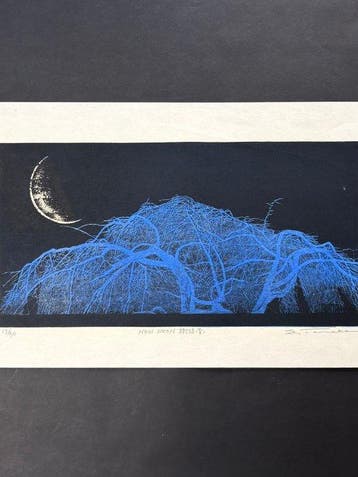 NEW MOON Jusho (Ao) - Tanaka Yoshikazu - Japan