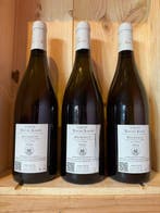 2024 Domaine de la Roche Aiguë Les Clous - Meursault - 3, Collections