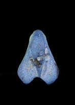 Oude Egypte, Nieuwe rijk lapis lazuli Fly Amulet (Zonder
